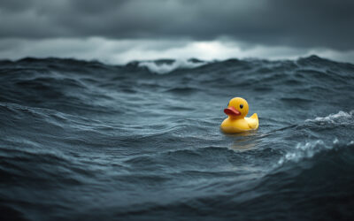 Finding Calm in the Storm