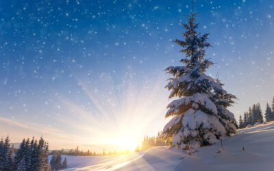 Finding Light in the Winter Darkness